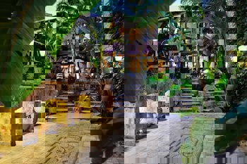 Tuvana Hotel - Special Class