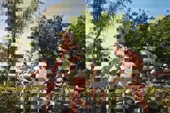 Ela Excellence Resort Belek