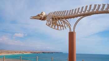 Coral Cotillo Beach