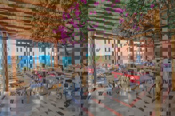 Medusa Hotel( 12 Adult Only)