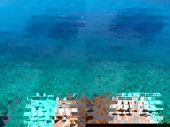 Medusa Hotel( 12 Adult Only)