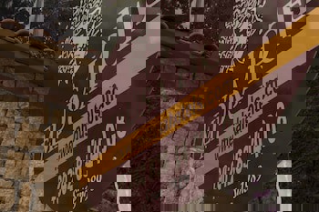 Medusa Hotel( 12 Adult Only)