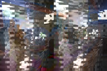 Medusa Hotel( 12 Adult Only)