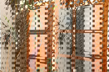 Medusa Hotel( 12 Adult Only)