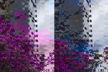 Medusa Hotel( 12 Adult Only)