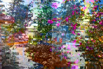 Medusa Hotel( 12 Adult Only)