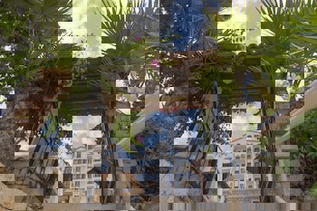 Medusa Hotel( 12 Adult Only)