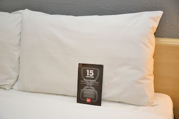 Ibis Aracatuba