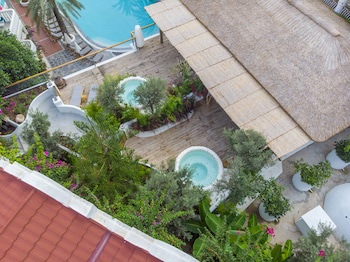 Flamingo Hotel & Spa – Pet Friendly