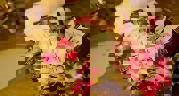 Glk Premier Regency Suites & Spa - Special Class