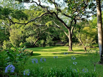 Anew Resort Hazyview Kruger Park