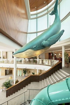 Iberostar Waves Gaviotas Park -All Inclusive