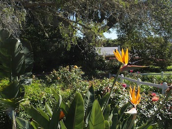 Belvidere Manor