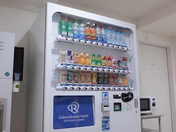 Daiwa Roynet Hotel Okayama Ekimae