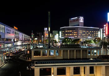 Daiwa Roynet Hotel Okayama Ekimae