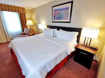 Holiday Inn Reynosa Zona Dorada, An Ihg Hotel