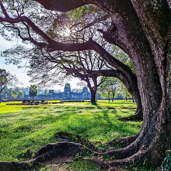 Sokha Angkor Resort
