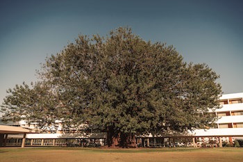 Brasilia Palace Hotel