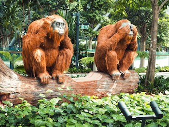 Crowne Plaza Changi Airport, An Ihg Hotel