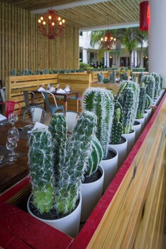 Grand Palladium Lady Hamilton Resort & Spa All Inclusive