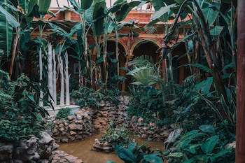 Casa Mexicana Hotel