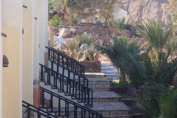 Bedouin Moon Hotel