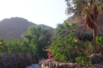 Bedouin Moon Hotel