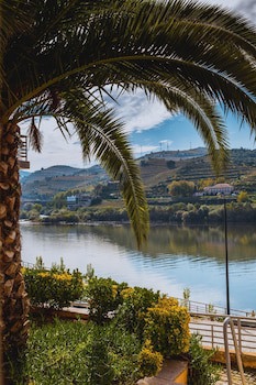Hotel Regua Douro