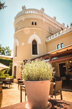 Chateau St Havel