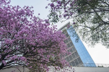 Hotel Guarani Asuncion