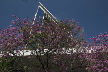 Hotel Guarani Asuncion