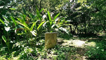 Ecotel Quinta Regia