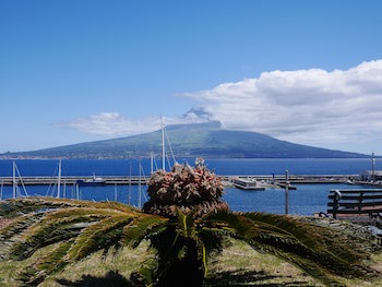 Azoris Faial Garden