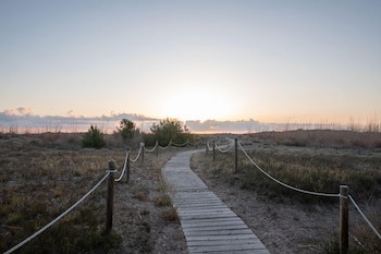 Els Arenals