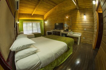 Baldi Hot Springs Hotel And Spa
