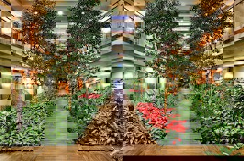 Gloria Serenity Resort - All Inclusive