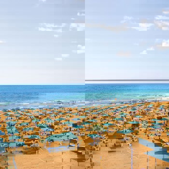 Paloma Oceana - All Inclusive