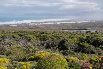 Grootbos Nature Reserve