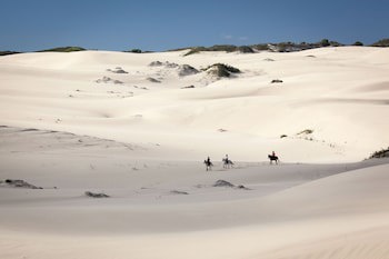 Grootbos Nature Reserve