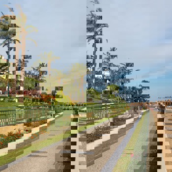 Paloma Perissia - All Inclusive