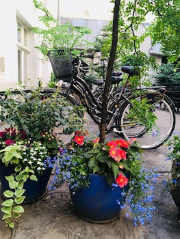 Antique Apartments - Plac Szczepanski