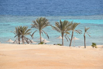Wadi Lahmy Azur Resort galeri fotoğrafı