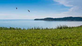 Carlyon Bay Hotel