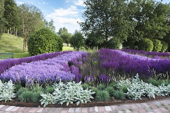 Sankt Jorgen Park