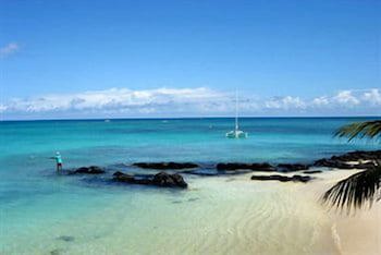 Ocean Beauty
