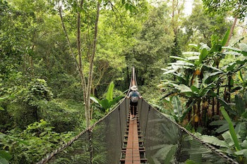 Le Meridien Chiang Rai Resort, Thailand