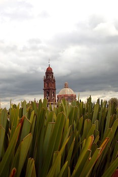 Casa De Los Olivos