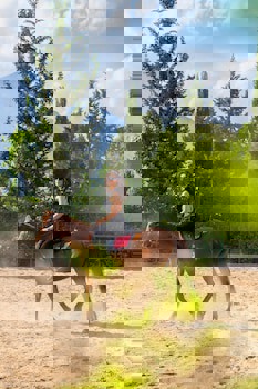 Hotel Berke Ranch & Nature - Special Class