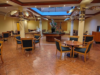 Princess Hotel And Casino Free Zone