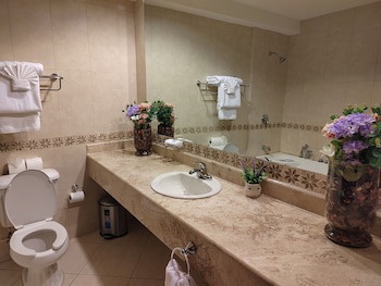 Princess Hotel And Casino Free Zone